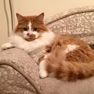 Meet your Posher, Malena